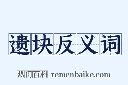 遗块反义词是什么意思的图片